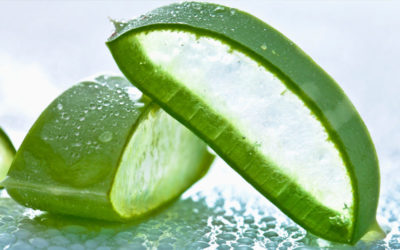 Aloe and other natural remedies to treat inflamed hemorrhoids