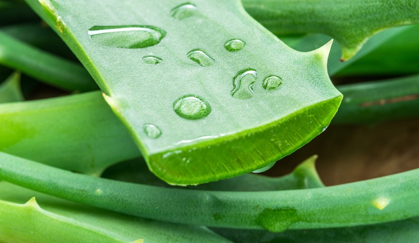 Aloe Vera gel for face care: benefits and use guide