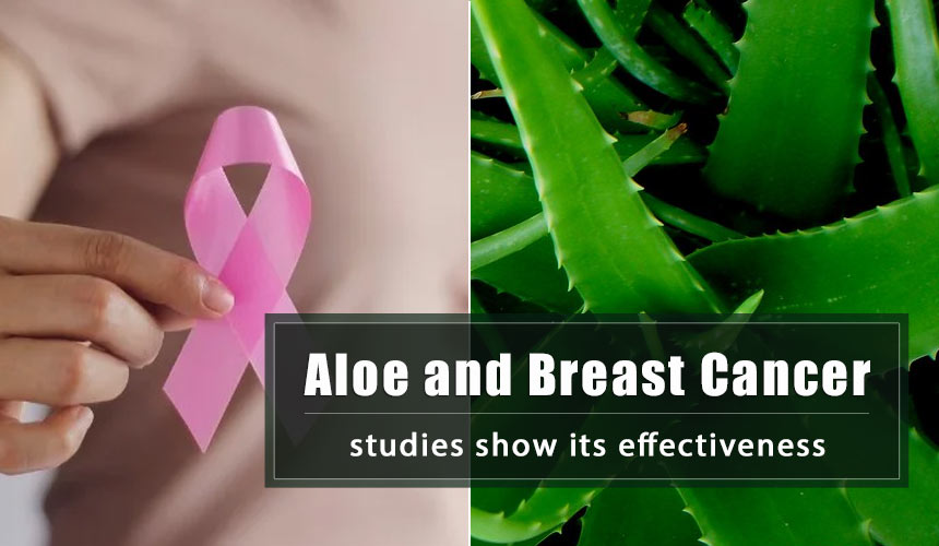 Aloe in the fight against Breast Cancer: prevents the proliferation of breast and cervical cancer