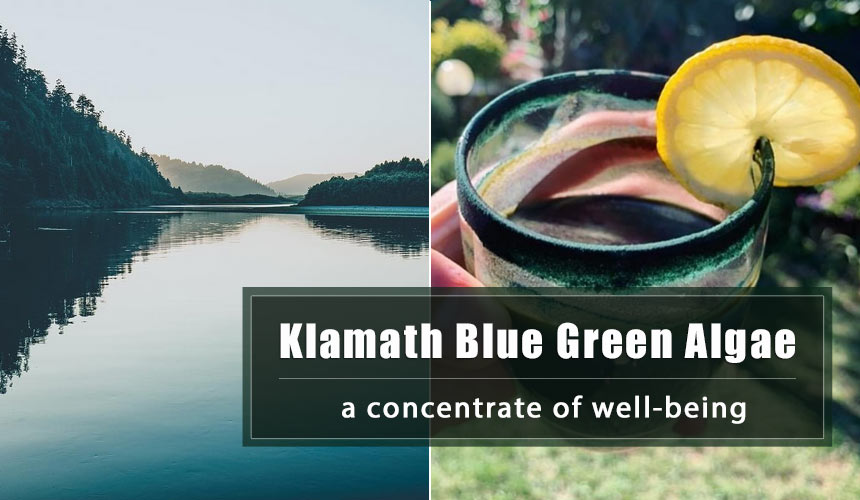 Klamath Blue Green Algae : the most complete and nutritious superfood in the world